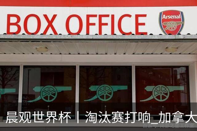 晨观世界杯丨淘汰赛打响 加拿大“绝杀”首进16强